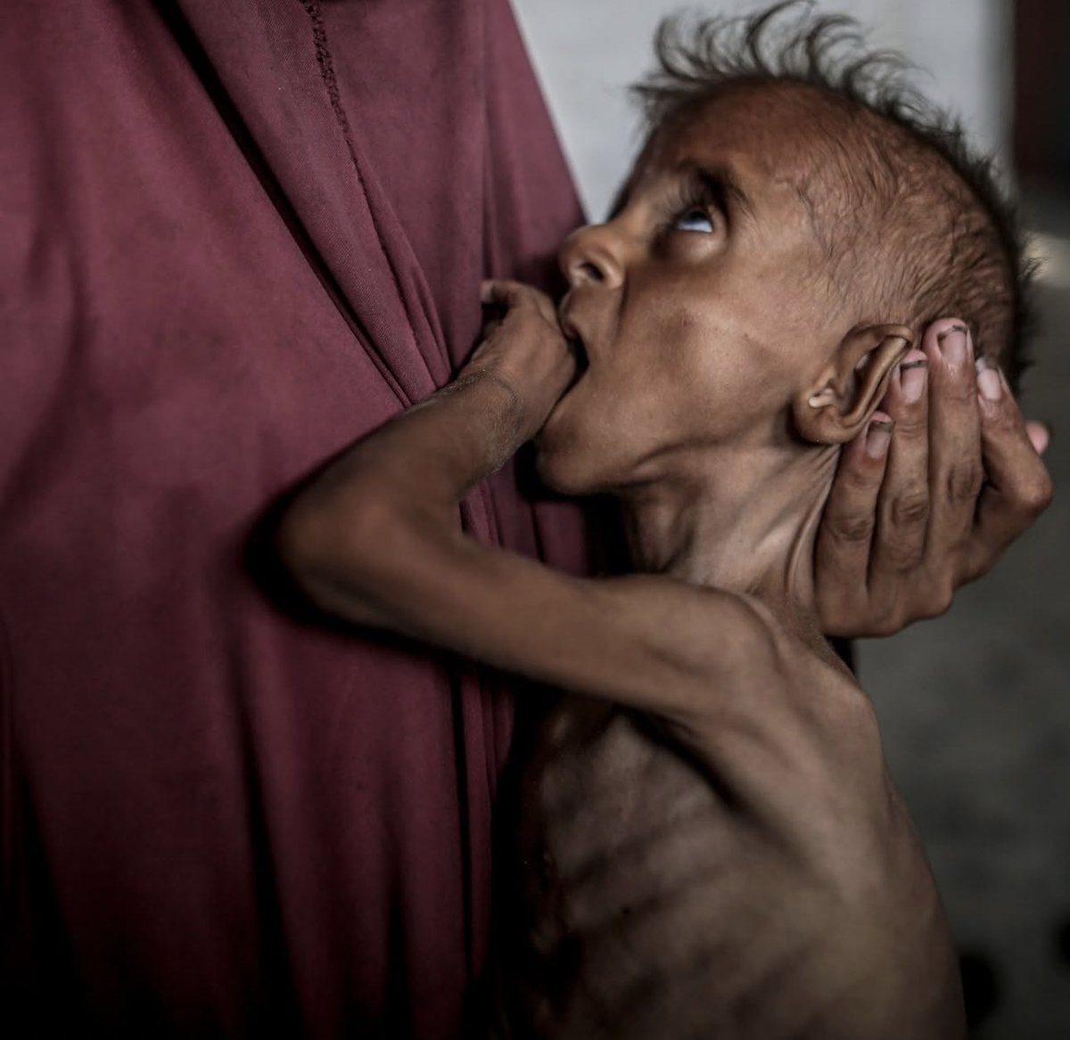 Nermeen from Gaza 𓂆🇵🇸🍉 (@nermeenalswaisi) on Twitter photo If you’re scrolling, PLEASE leave a dot.
We are starving. If you’re scrolling, PLEASE leave a dot.
We are starving.