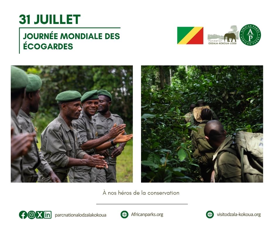 À l'occasion de la 🌍Journée mondiale des écogardes (rangers)🌳 , nous commémorons les héros de la conservation.
👉
<a href="/AfricanParks/">African Parks</a> 
#fondationodzalakokoualossi #conservation #afrique #Ranger #JournéeMondiale