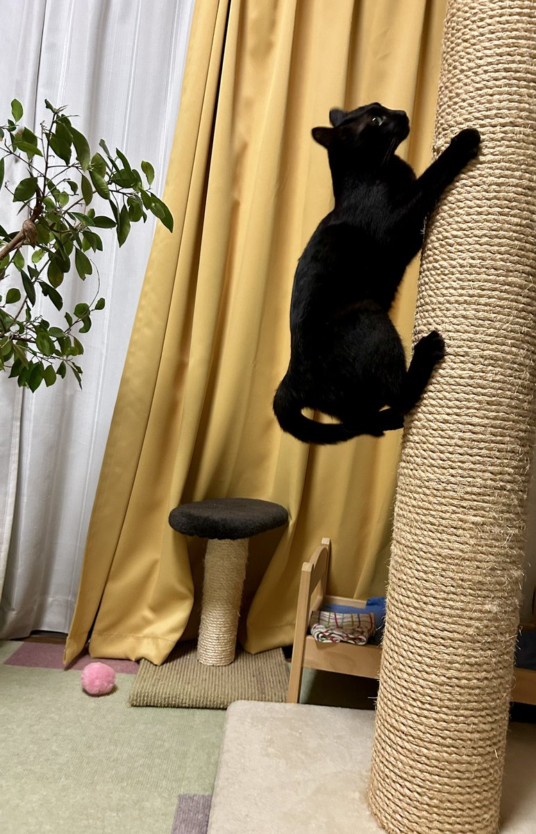 バッッ！！