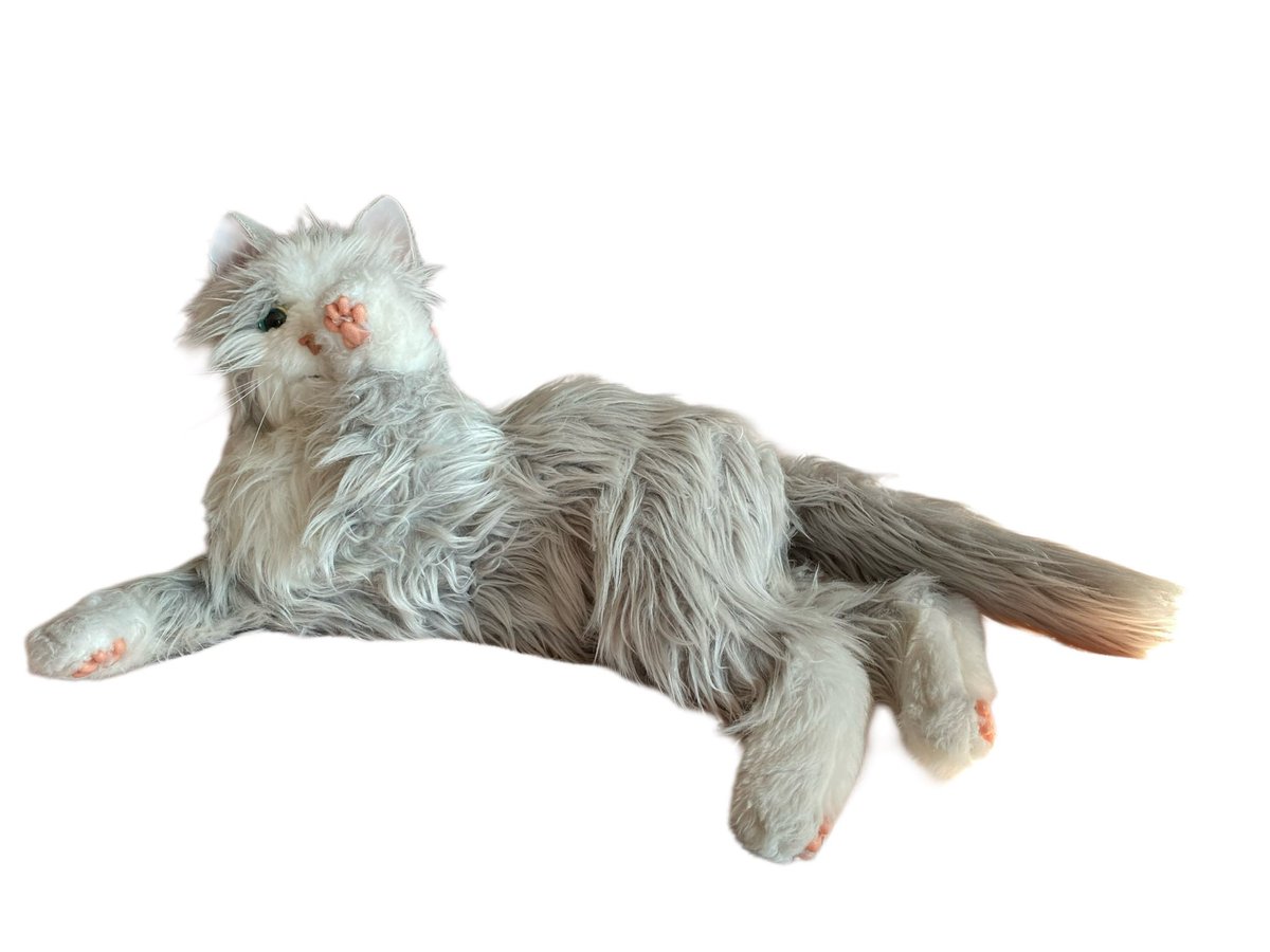 Annie F R, Phoebe ๐& Teddy Henri ๐งธ๐ธ๐ฌ๐ฎ๐น (@38octavian) on Twitter photo โฃ๏ธ#Hedgewatch friends please could we have paws and prayers for bambam's Stinkie Sisfur who they are rushing to the vet. She is bleeding from the chest. They are heading there now. We are ringing our bells and praying that all will be well <a href="/bambamellis/">bambam ๐จ๐ฆ</a> โฃ๏ธ โฃ๏ธ#Hedgewatch friends please could we have paws and prayers for bambam's Stinkie Sisfur who they are rushing to the vet. She is bleeding from the chest. They are heading there now. We are ringing our bells and praying that all will be well <a href="/bambamellis/">bambam ๐จ๐ฆ</a> โฃ๏ธ