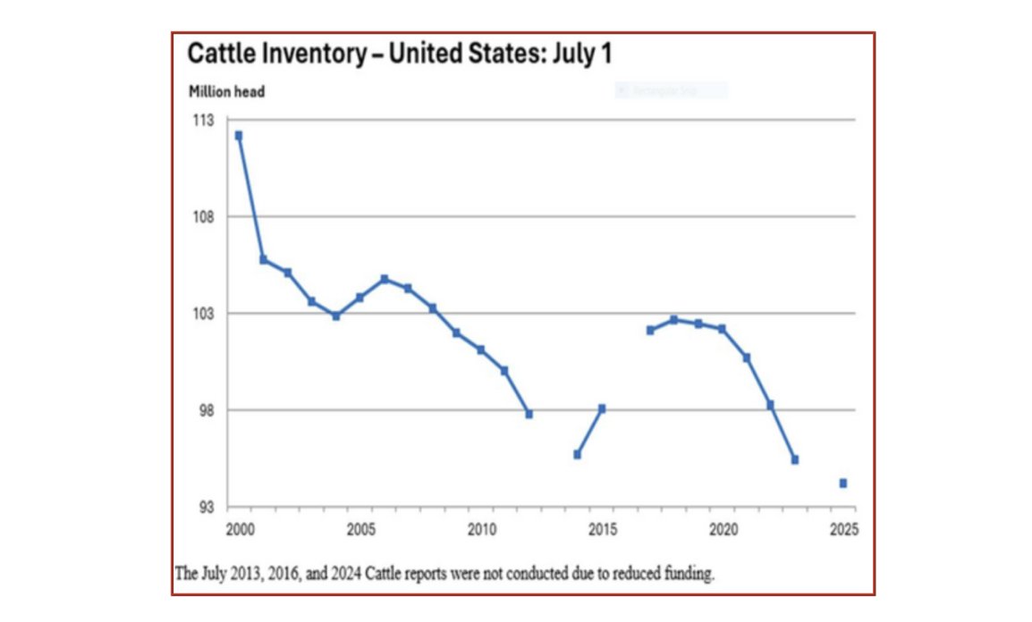 USDA Releases Cattle Inventory Report, At Their Lowest Level Since Records Have Been Recorded: beefweb.com/usda-releases-…