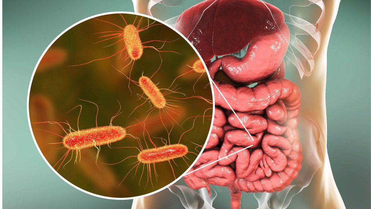 In this article, Ginnan et al. propose that the One Health framework needs a shift in focus from disease surveillance to microbial stewardship. An integrative One Health microbiome science approach breaks down traditional silos in microbiome research: journals.asm.org/doi/10.1128/mb…