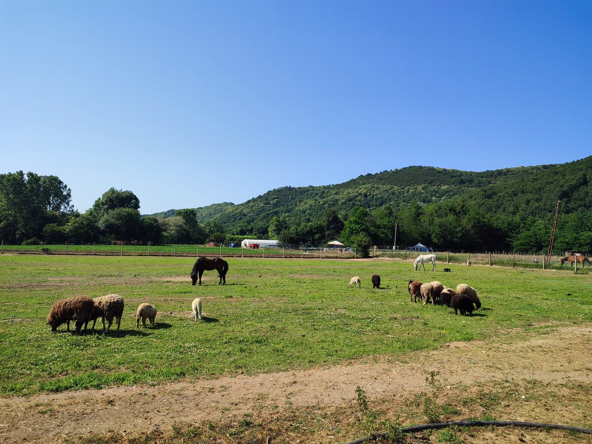 Söylesene, kendini harap ettiğin hangi insanın umurundasın?”