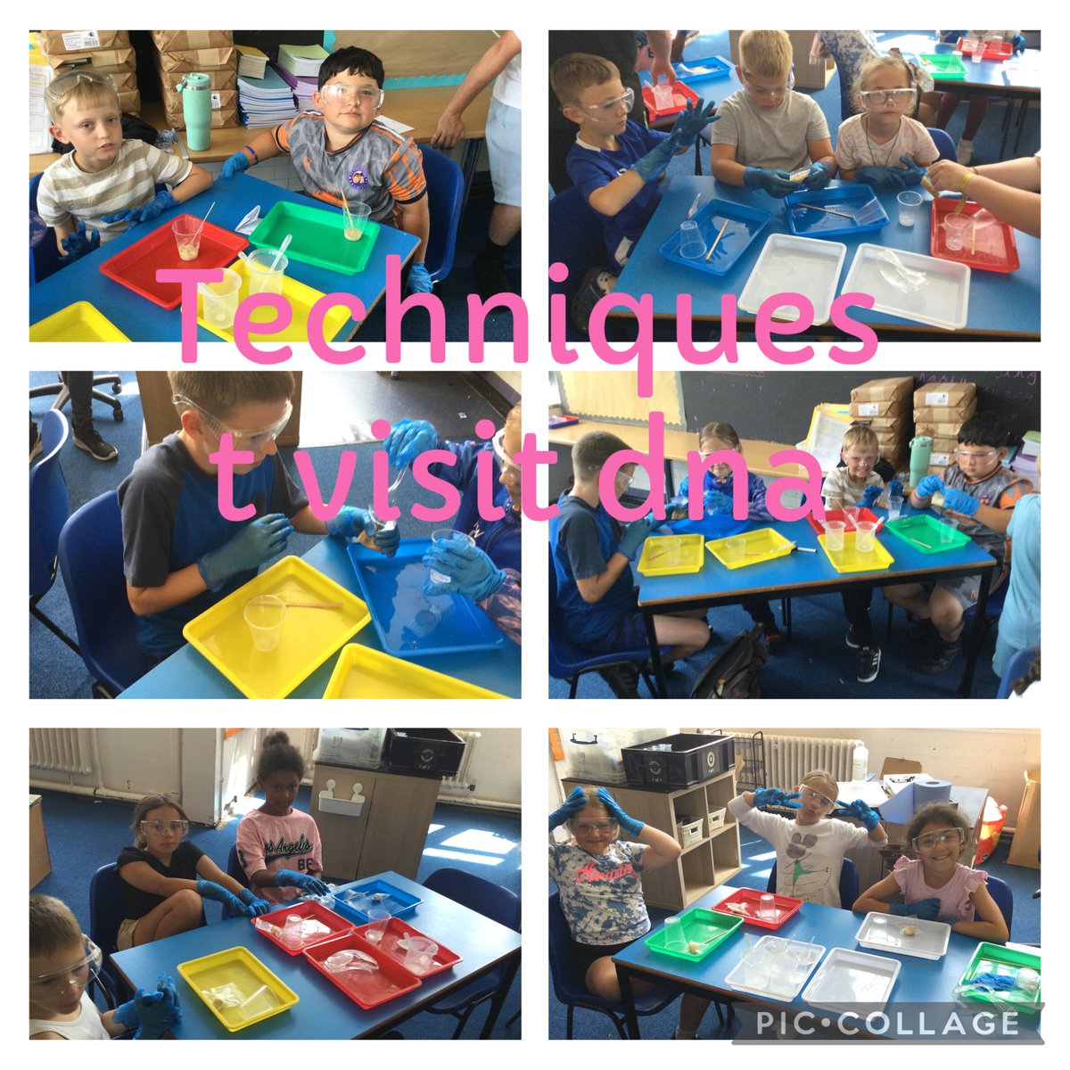 Miss Amor tweet media