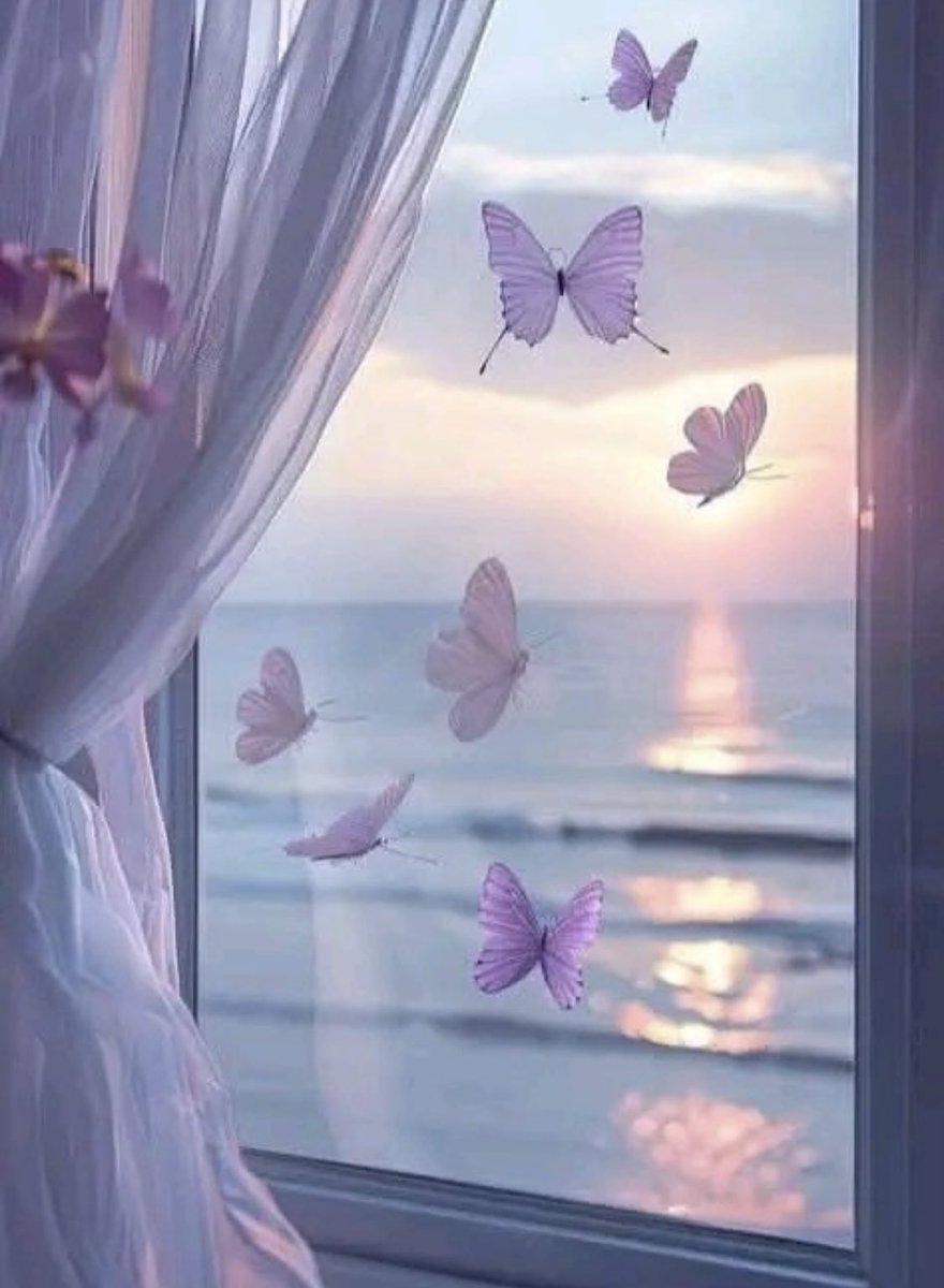 𓆩 𓆪 tweet media