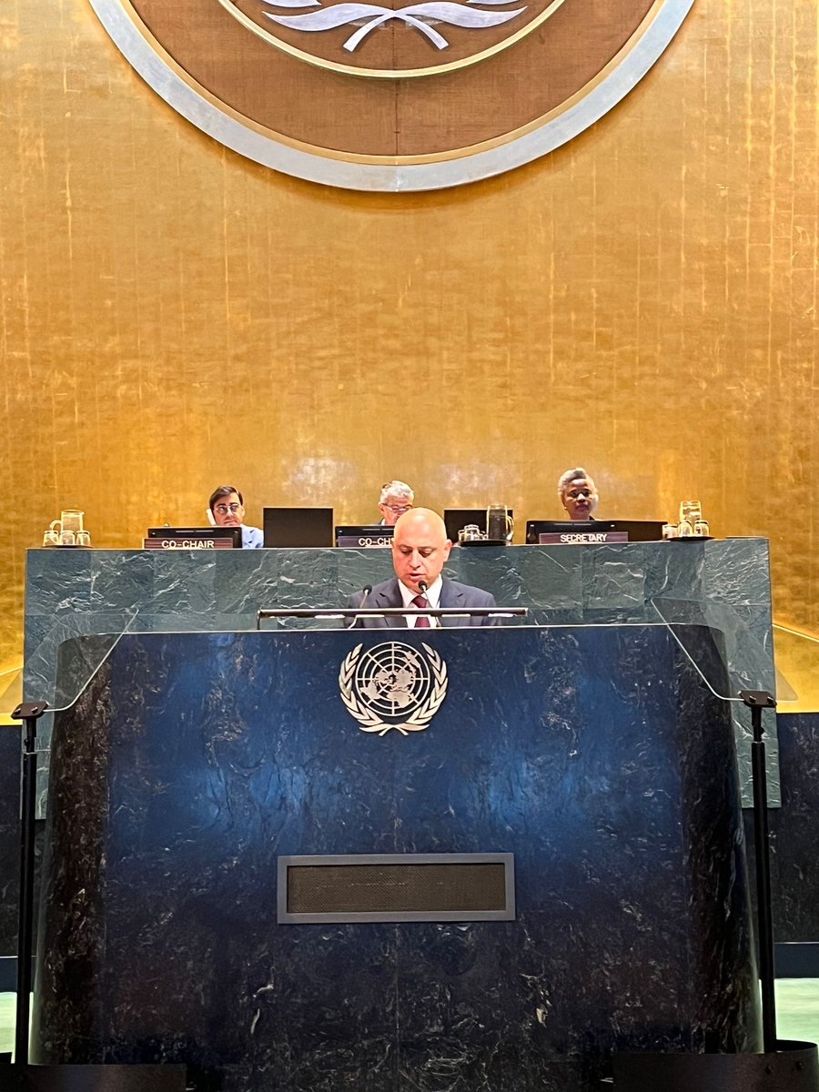 AzmissionUN's tweet photo. H.E. Mr. Samir Sharifov, Deputy Minister of Foreign Affairs of the Republic of Azerbaijan, delivered a statement at the Plenary Session of the @UN High-Level International Conference on “The Peaceful Settlement of the Question of Palestine and the Implementation of the Two-State Solution”