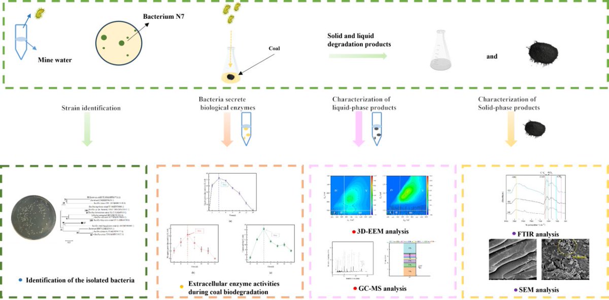Preliminary elucidation of the mechanism underlying coal degradation by #Bacillus amyloliquefaciens

buff.ly/C1HKO93

#BioResJournal #OpenAccess #enzymes #biodegradation #bioconversion