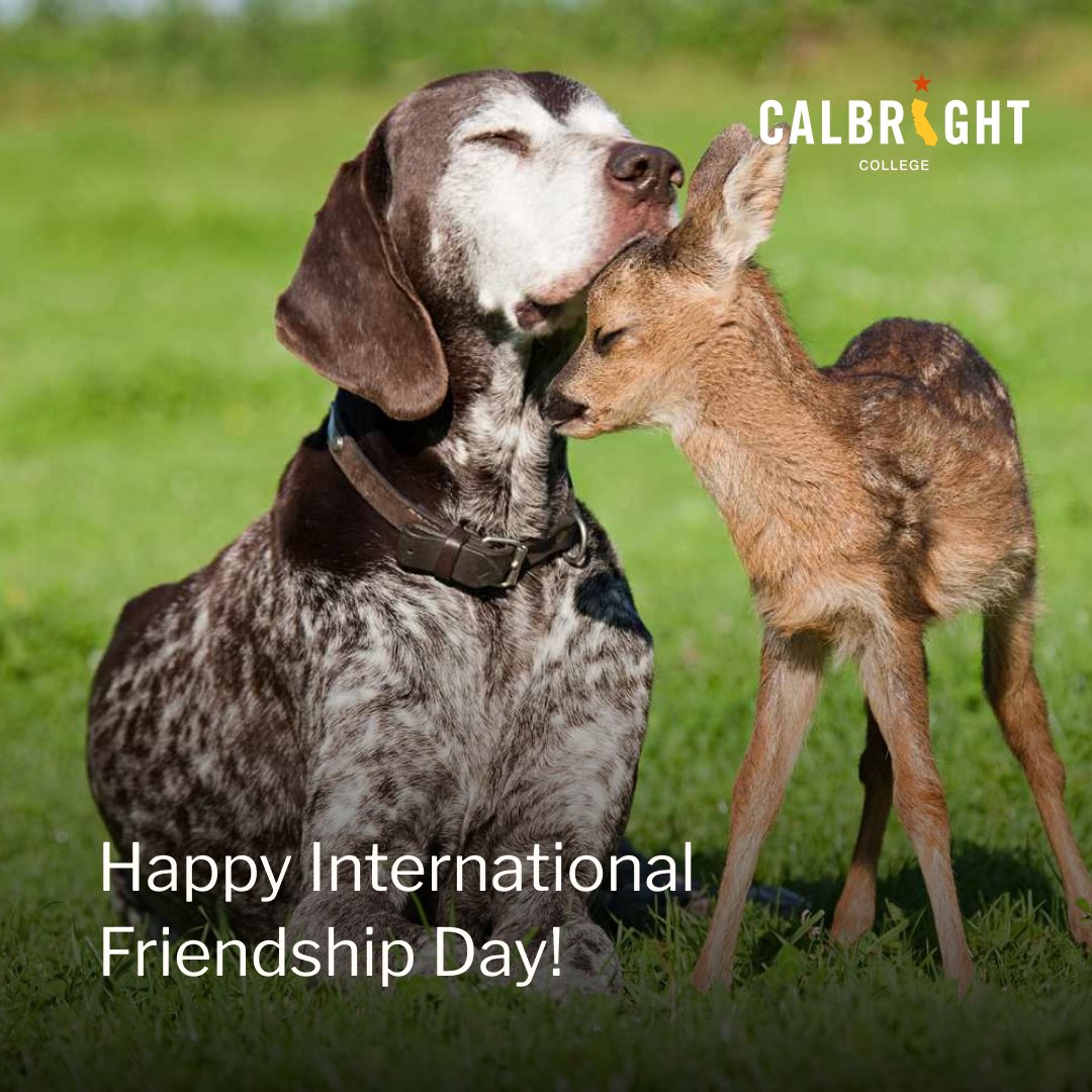 It’s #InternationalFriendshipDay! Do your besties a solid today and remind them that Calbright College offers online, flexible, skill-based programs designed to help them thrive in the modern job market. It’s just a cool thing to do. Learn more: calbrig.ht/3UEmQ1Q