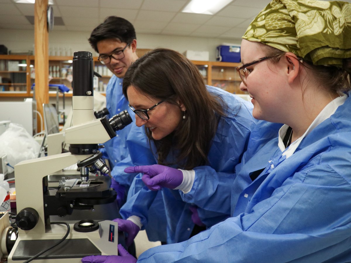 Renowned mycologist Marin Brewer has been named head of the <a href="/universityofga/">UGA</a> Department of Plant Pathology, bringing decades of experience and a student-centered vision to one of the nation’s leading plant pathology programs. 🔗 bit.ly/40FUec4