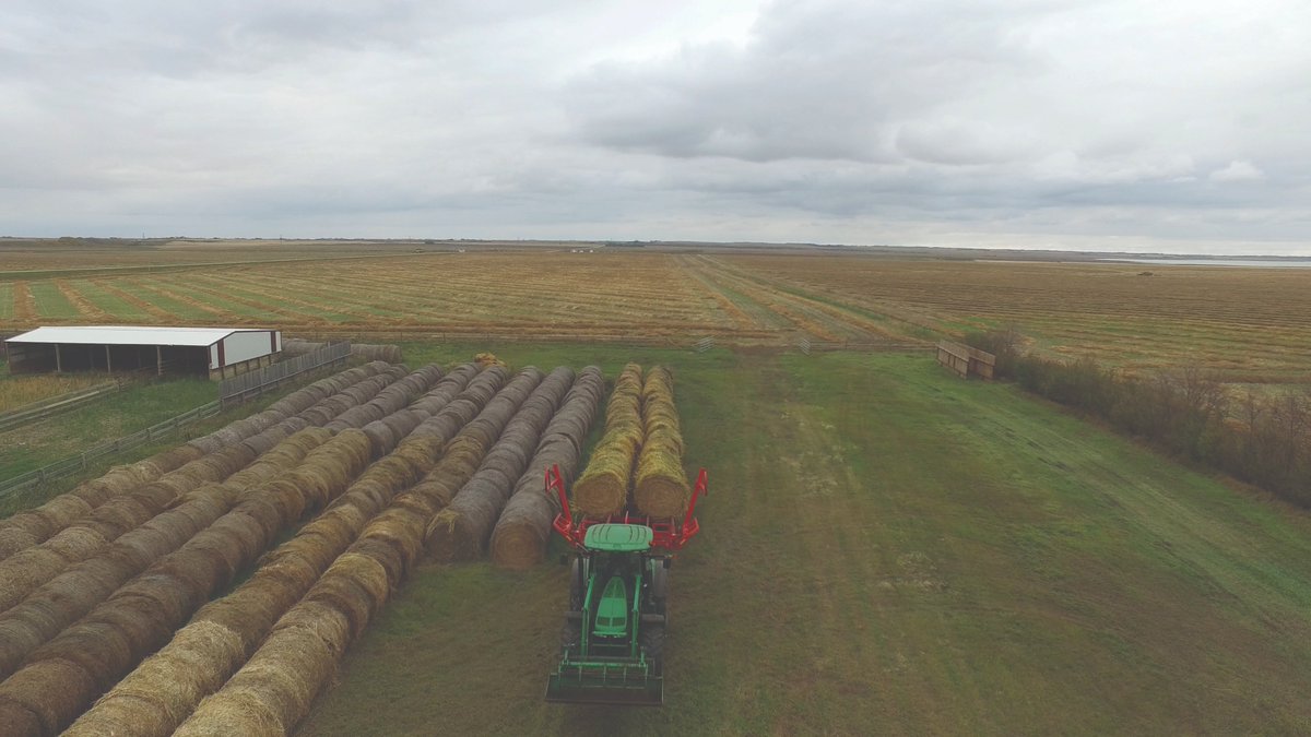 Move More, Work Less.

The BM1400 Round Bale Mover from Highline® is designed for serious productivity. Haul up to 14 round bales in one trip. Built with efficiency in mind, the BM1400 is your go-to solution for high-capacity hay transport.

✅ Load and unload in minutes
✅