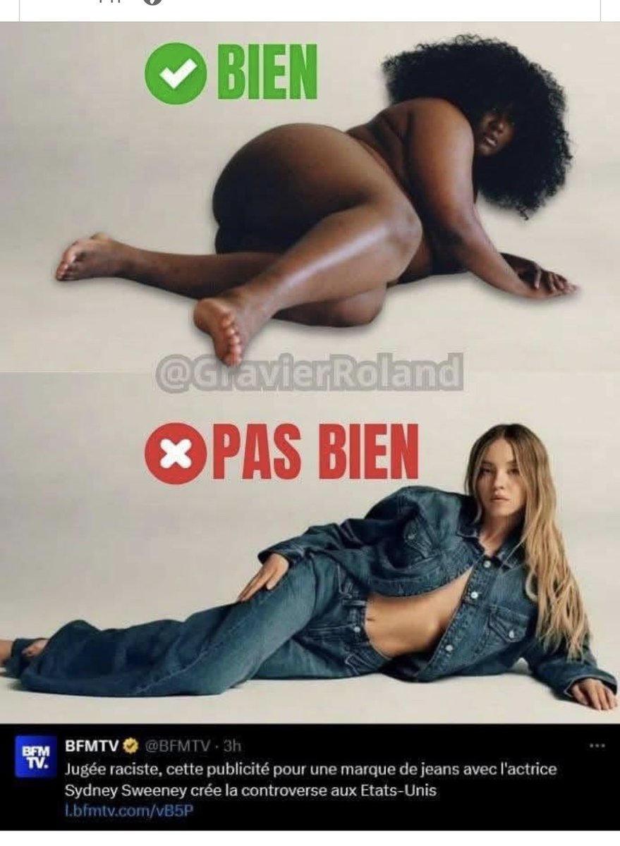 Avec cette photo <a href="/YseultUpdates/">YSEULT UPDATES</a> a été nommée ambassadrice de la langue française par Emmanuel Macron (tu m’étonnes, dès qu’il peut faire ch… les français). Cette photo est extraordinairement malsaine et fait la promotion d’une obésité morbide aussi dangereuse pour la santé que