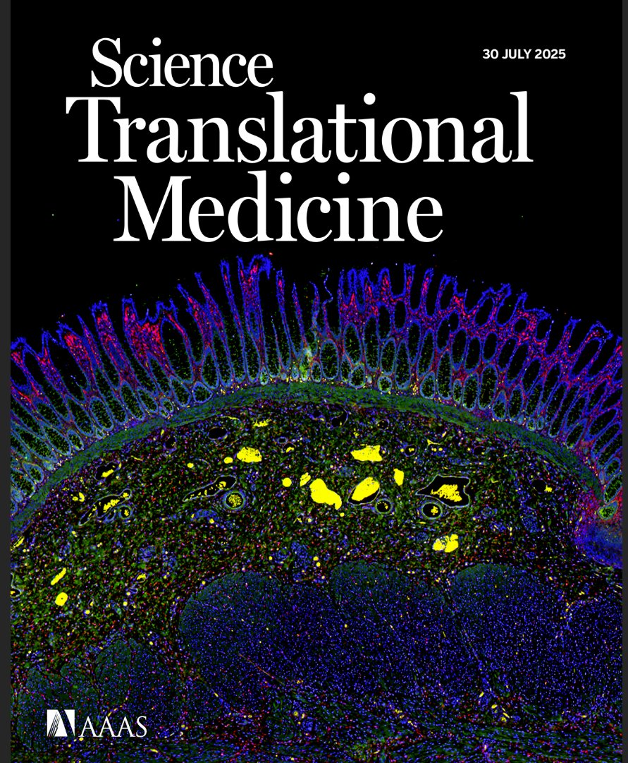 Peter Bo Li tweet media