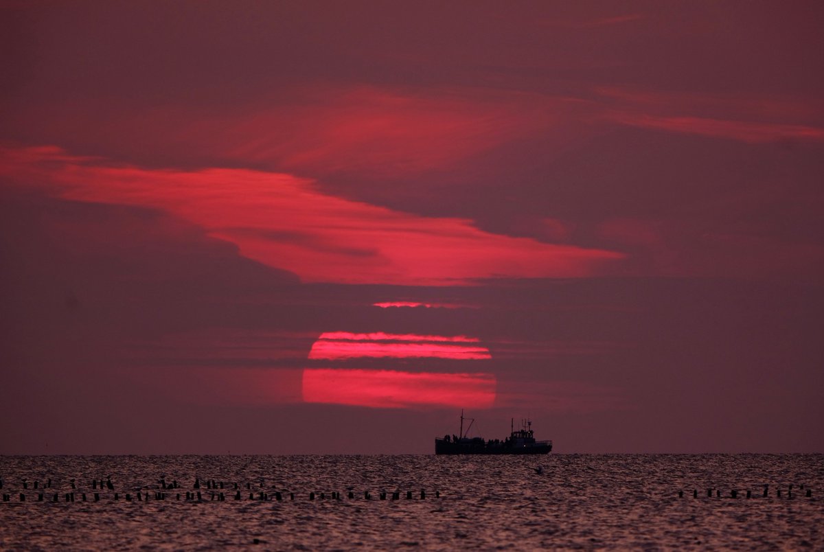 Mooigrunnen® tweet media