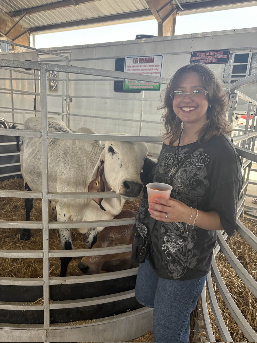 start petting the animals twin