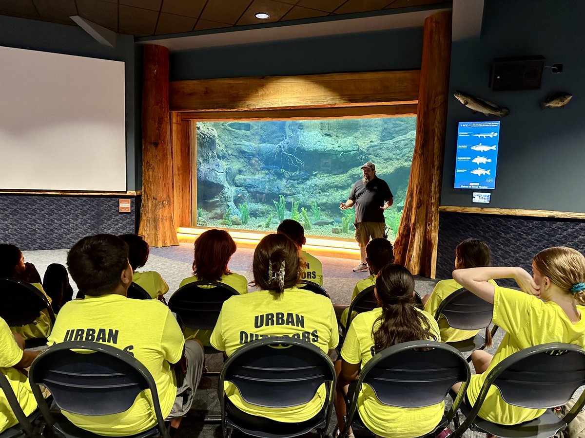 Irving PAL tweet media