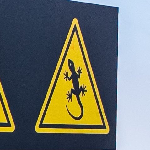 Wost🕷️ tweet media