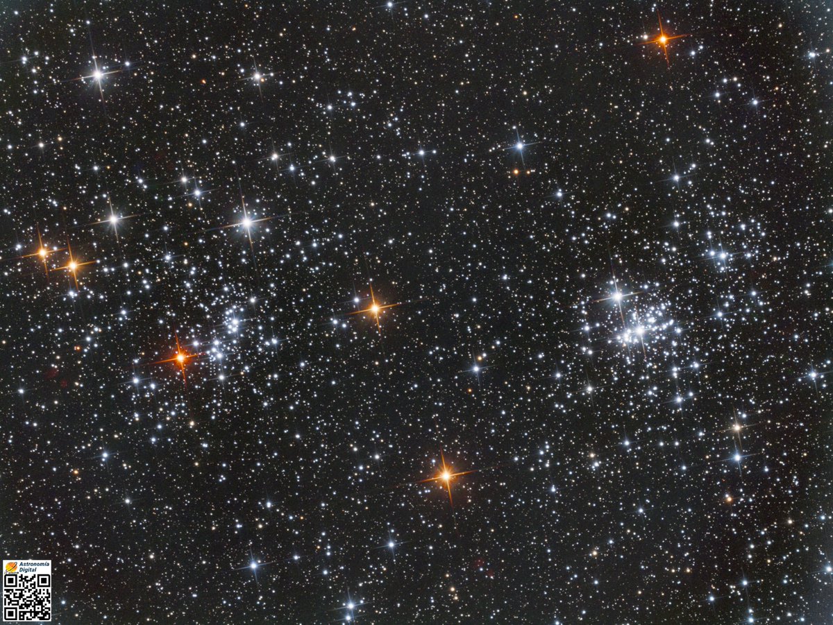 JJ Godoy tweet media