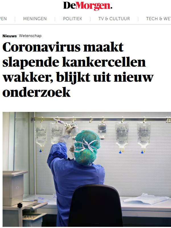 Kuifjesdream's tweet photo. Nooit gedacht dat Demorgen het zou durven schrijven. Werden MVR en *baron* Van Damme al ondervraagd? 🤡 https://t.co/0dJ7sTQ40h