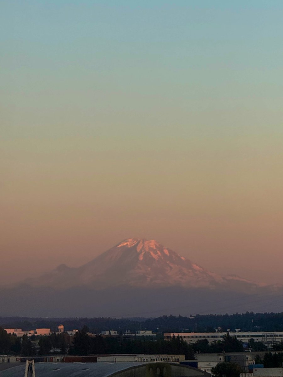 Life in Washington 🫶🏻