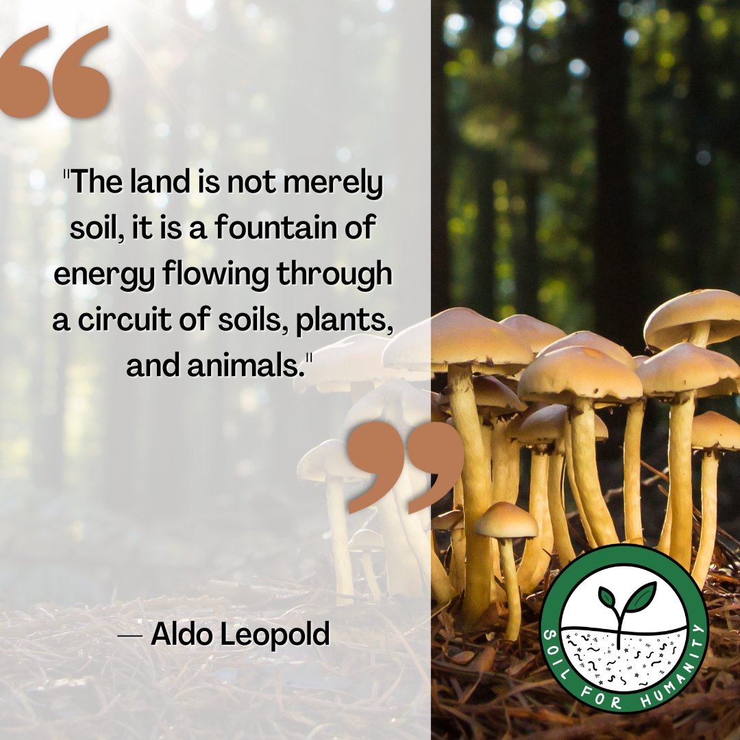 Soil for Humanity tweet media