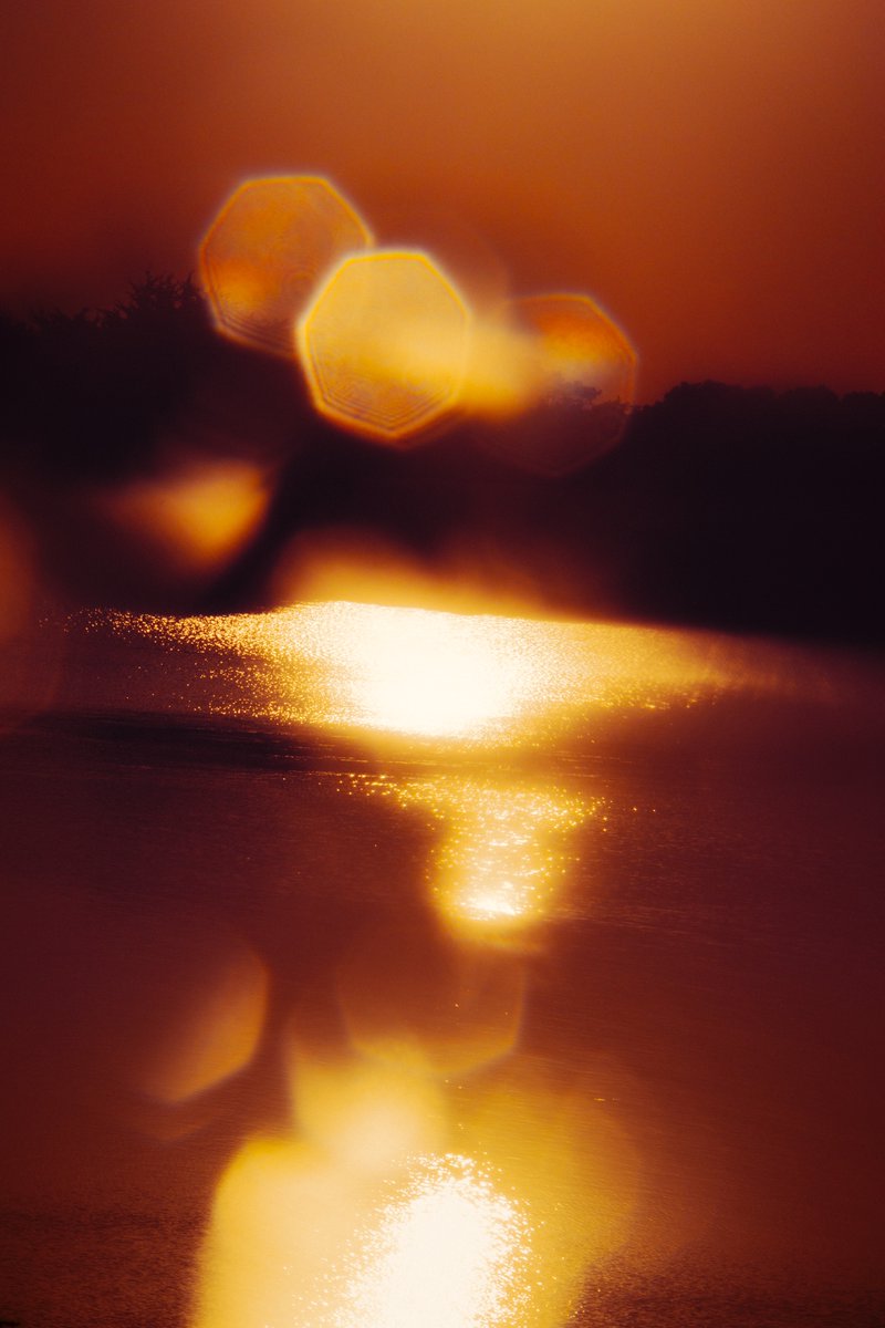 Nicolas Leconte tweet media