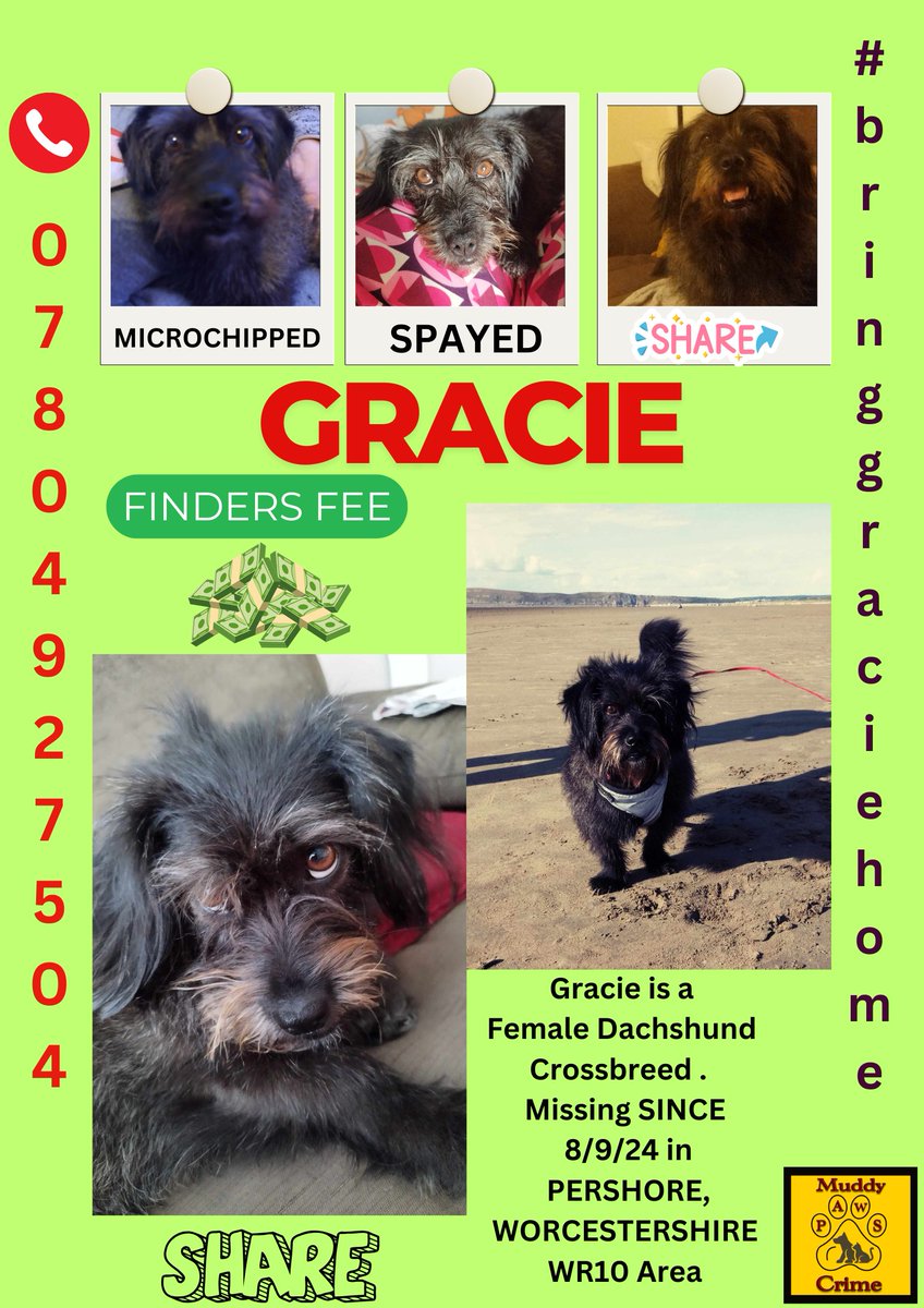 Muddy_paws_crime (@muddypawscrime) on Twitter photo Everyday is Grey for Gracies family until she is home
The emotional turmoil of the not knowing is indescribable .
Please help us share on all social media platforms and next door app in your area
<a href="/MissingPetsGB/">Missing Pets GB</a> <a href="/HunnyJax/">Stolen Missing Longtimelost 🐾Where Are They All</a> Everyday is Grey for Gracies family until she is home
The emotional turmoil of the not knowing is indescribable .
Please help us share on all social media platforms and next door app in your area
<a href="/MissingPetsGB/">Missing Pets GB</a> <a href="/HunnyJax/">Stolen Missing Longtimelost 🐾Where Are They All</a>