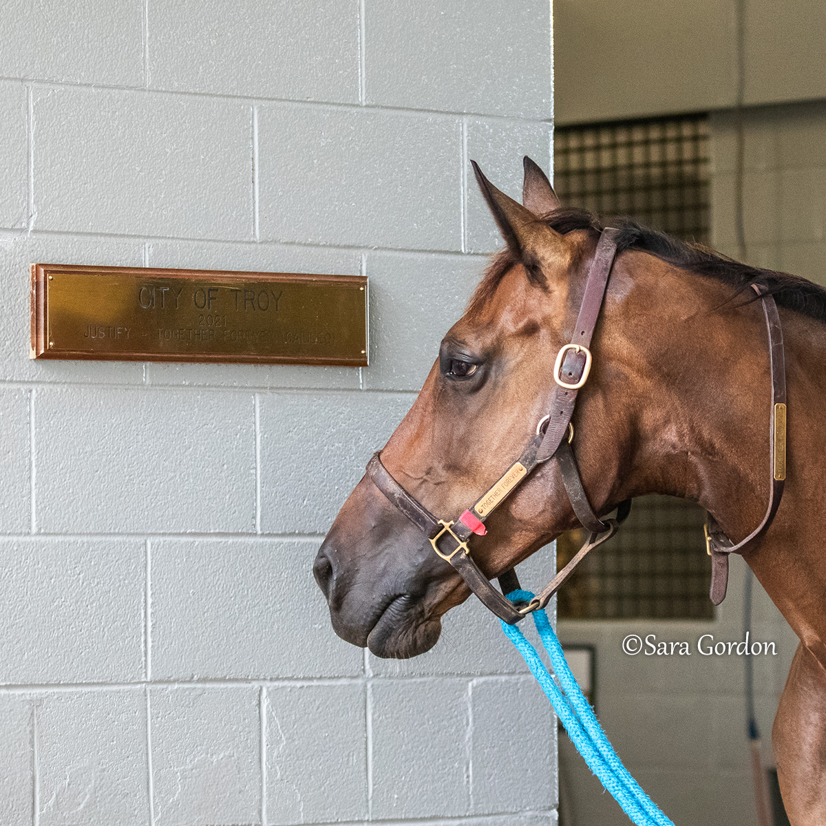 What an honor to have photographed City Of Troy...and now his dam, Together Forever ✨ By her side is a full-sister to the 4x G1-winning son of Justify.

It was special to take a photo of her with COT's plaque, mounted in the barn where he was born.

📸: youtu.be/FPaDQHLLJg8?si…