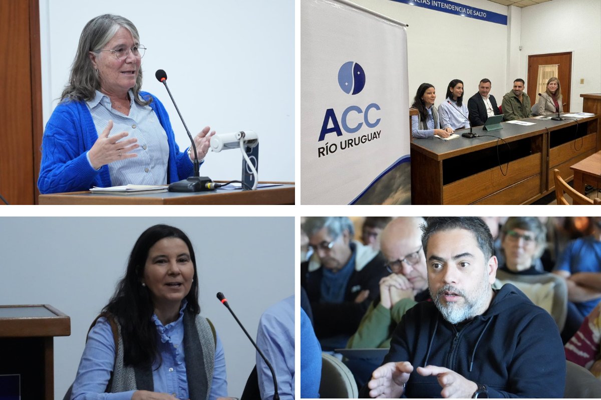 🌎 Con participación de equipos técnicos, gobiernos  locales y sociedad civil de 🇦🇷 y 🇺🇾, se realizó en #Salto el Taller binacional de resultados del Proyecto <a href="/acc_rio_uruguay/">ACC río Uruguay</a>.

Una agenda compartida frente al cambio climático.
🔗 go.undp.org/wSY

#AdaptaciónClimática