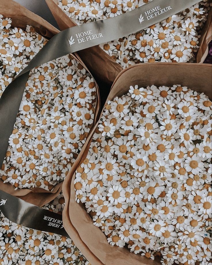 çiçek dünyası (@hergunecicek) on Twitter photo 