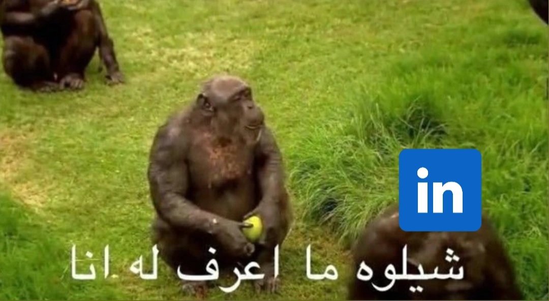 ye (@mm_arafat_) on Twitter photo 