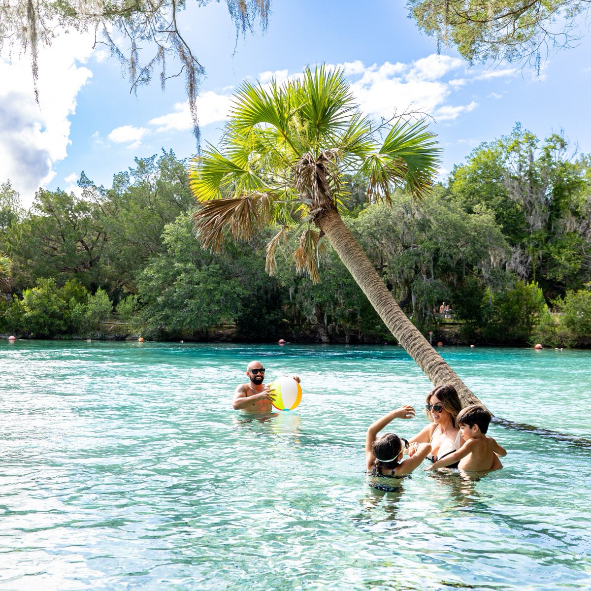 Wishing summer would stick around just a bit more! 🌞✨

📍Silver Glen Springs