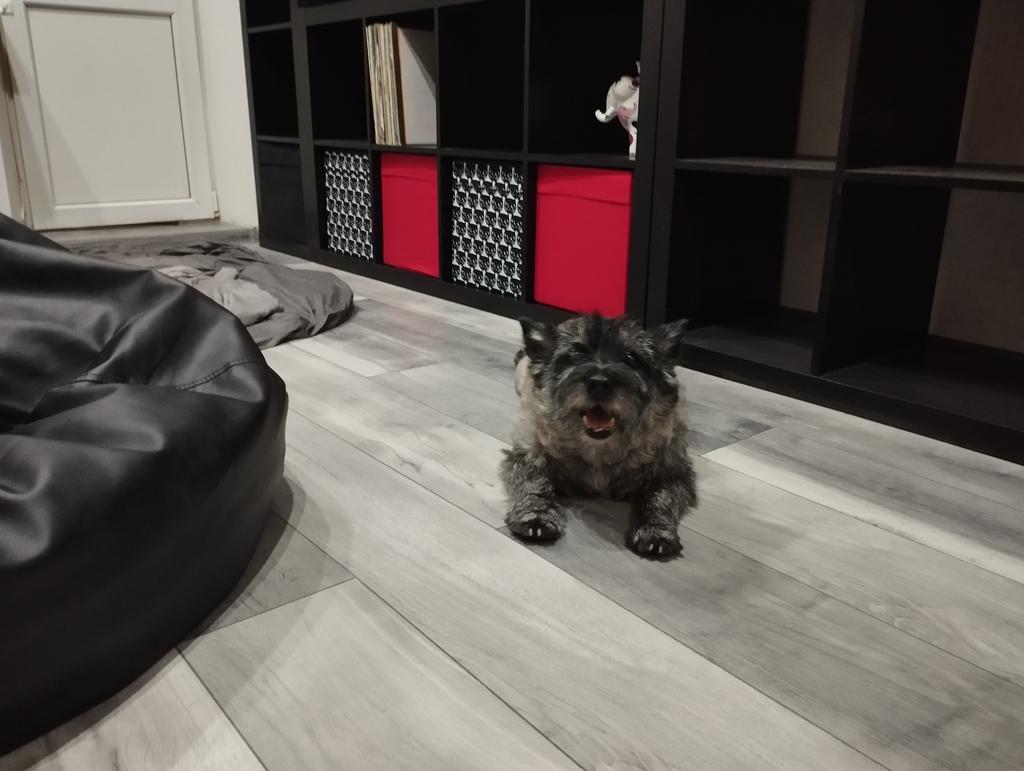 - Женщина, ты чо с моей квартирой сделала!?
*Флинт Иваныч в ахуе