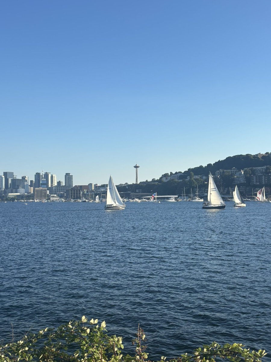 TmeIntervention's tweet photo. Watching sailboat races at Union Lake.#TMGenius #summerselfiechallenge https://t.co/FYWTKzu3it