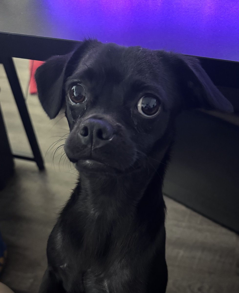 Celestalon tweet media