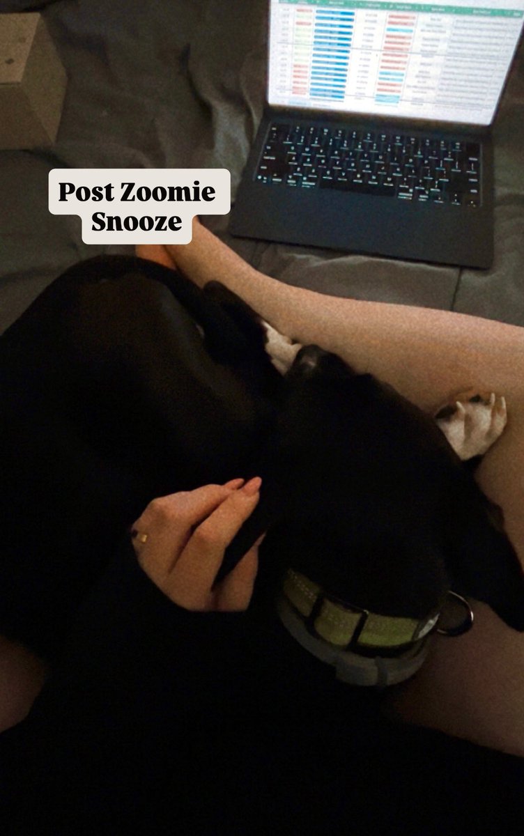 Not sure how I’m supposed to get any work done right now, and also simply do not care.