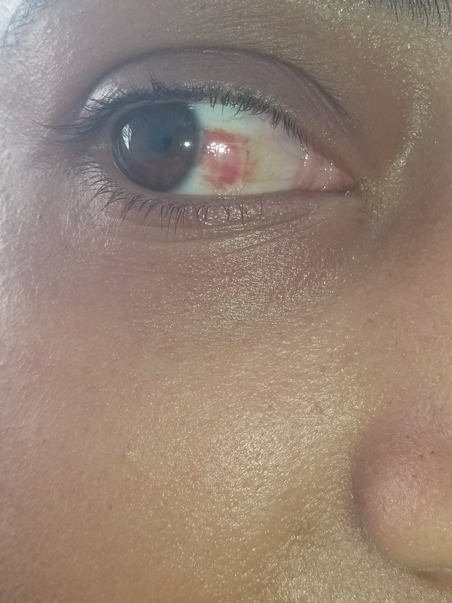 Raghad.Kadash tweet media