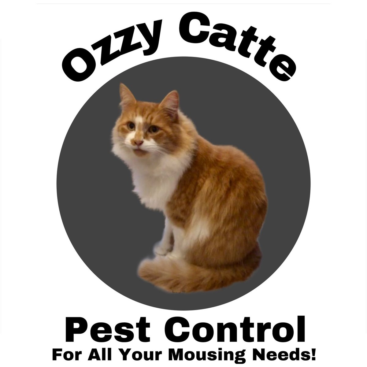 Is mew suffering from a mob of mousies, reams of rats or a stampede of shrews? 
Call Ozzy catte pest control on 123-meow

Free meowy meal for da 1st 10 customers quoting “Iz got a rumbly in my tumbly”
#Hedgewatch #Bumblecats