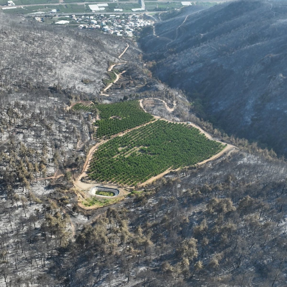 Bursa'da, bir çiftçinin etrafındaki otları temizleyerek gözü gibi baktığı yer YEMYEŞİL kaldı........🌲🌲🌲
Ormanlarımızı tıpkı eskiden olduğu gibi köylüye ver AKP!!!!