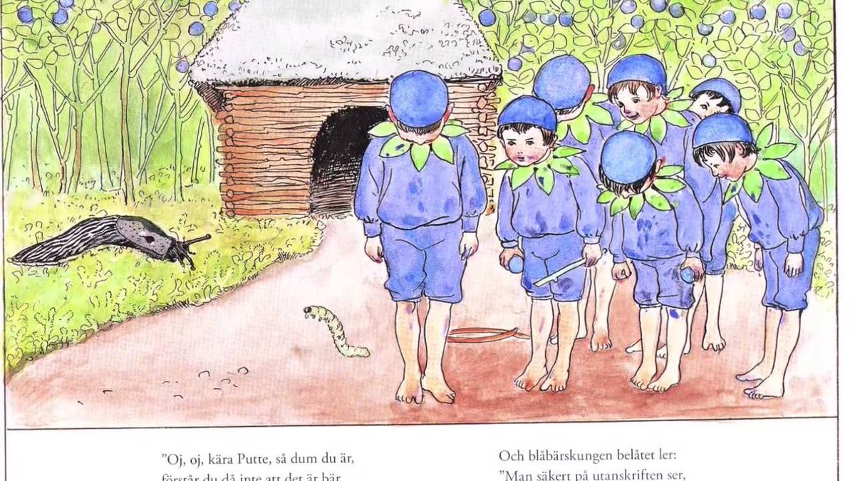 GimleK's tweet photo. BLÅBÄR I SVENSK FOLKTRADITION 

Mors lilla Olle med solsken i blick och läpparna blå, Putte på äventyr i blåbärsskogen och fat med färska blåbär och mjölk som färgas lila: en sinnebild av nordisk sommar och svensk barndom. 

Blåbär är faktiskt en av de allra vanligaste växterna i Sverige och täcker ca 11 % av landets skogsmarksareal. Många barn, vallpojkar och vallflickor genom historien har ätit sig mätta på blåbären. För allmogen var blåbär annars framförallt ett komplement till lingon. Det berodde på att blåbären till skillnad från lingon var svåra att konservera. Därför åts blåbären oftast färska i skog och mark. De blåbär som inte åts färska torkades och användes för att bota olika magproblem. När socker blev billigare blev det vanligt att göra sylt av blåbären. 

Förr fanns även en föreställning om att det gick mask i blåbär som inte plockades så fort de var mogna. Blåbär som var blanka och nästan svarta kallades för skomakarbär och dem skulle man undvika att plocka! Enligt folktron trodde man att korna eller räven kissat på dem. 

I folkmun kallades blåbär för skvallerbär eftersom läpparnas färg skvallrade om att man ätit blåbär. I Skåne, Blekinge, Småland, Halland, Dalsland, Västergötland och Östergötland kallades blåbär för slinnon, slinner, slynnon, slyndron eller svälon. Andra lokala namn har också förekommit. Kanske plockade du själv blåbär med en äldre släkting som barn? Eller har du något annat minne kopplat till blåbär? Vad kallades blåbär i din hembygd?