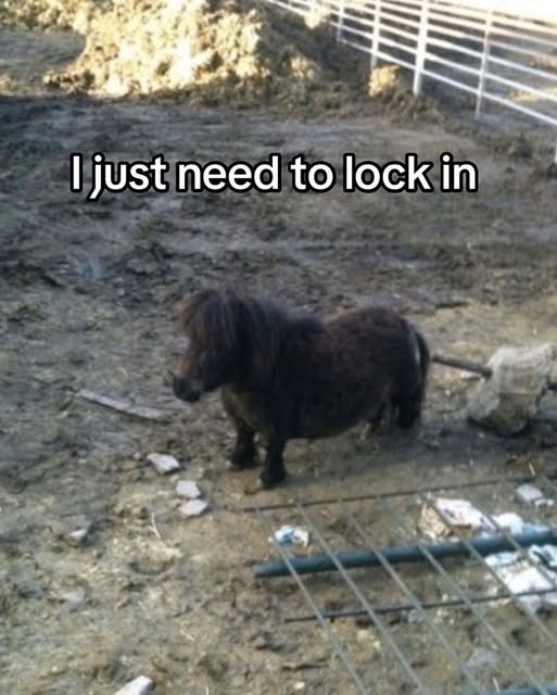 þürþ Ð£rþ (@purp_derp) on Twitter photo 