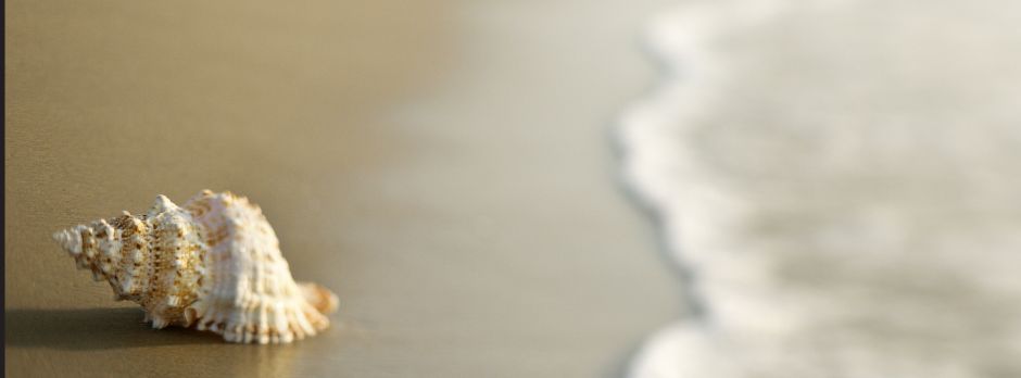 The latest issue of our newsUpdate is out now: mailchi.mp/cnhc.org.uk/ju…
If you don't subscribe to it already, you can sign-up on our website to receive it direct to your email inbox. Visit ow.ly/BAnT50W1KoT
#CNHC #AccreditedRegister #ComplementaryTherapy