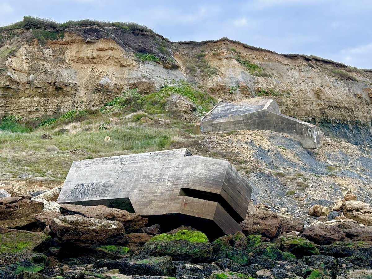 Klaas Meijer tweet media