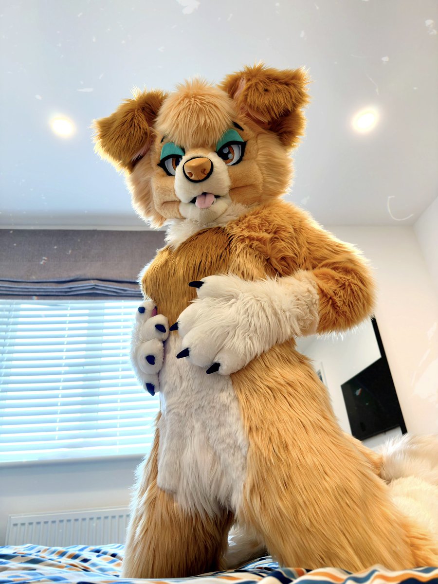 Such a poser 🐾

📷: <a href="/fetbandit/">Bandit Fet</a>