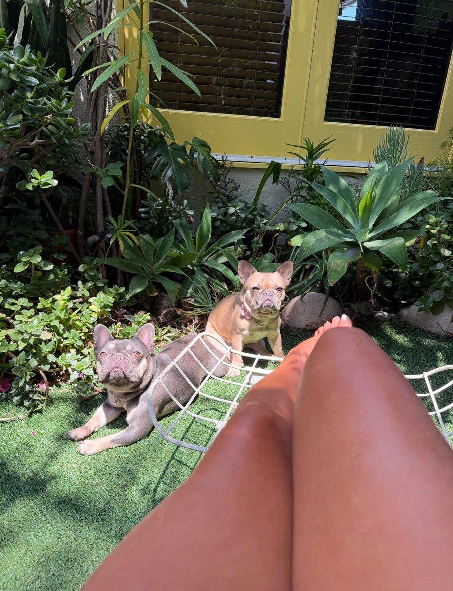 TiffanydreamVIP's tweet image. Hot girl summer🥵#prettygirlsonly #adventurepups #venicebeach🐶🐶🎀🎀🏝️