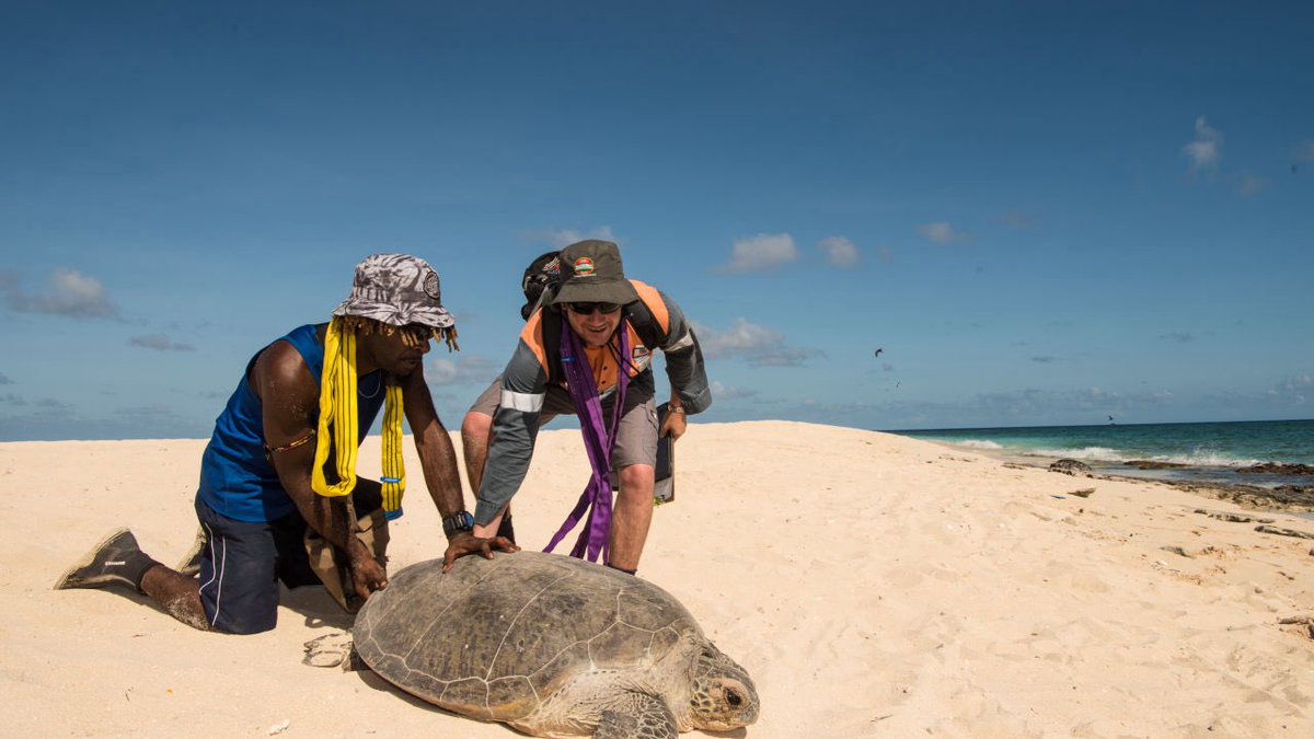 SolOnChain (@solonchainx) on Twitter photo Over 80% Minted out
<a href="/Turtlesolana/">Turtlesol</a>
Over 10000 turtles π’ saved <a href="/SEEturtles/">SEE Turtles</a>
Get yours and help save a turtle.
Every mint goes towards <a href="/SEEturtles/">SEE Turtles</a> Over 80% Minted out
<a href="/Turtlesolana/">Turtlesol</a>
Over 10000 turtles π’ saved <a href="/SEEturtles/">SEE Turtles</a>
Get yours and help save a turtle.
Every mint goes towards <a href="/SEEturtles/">SEE Turtles</a>