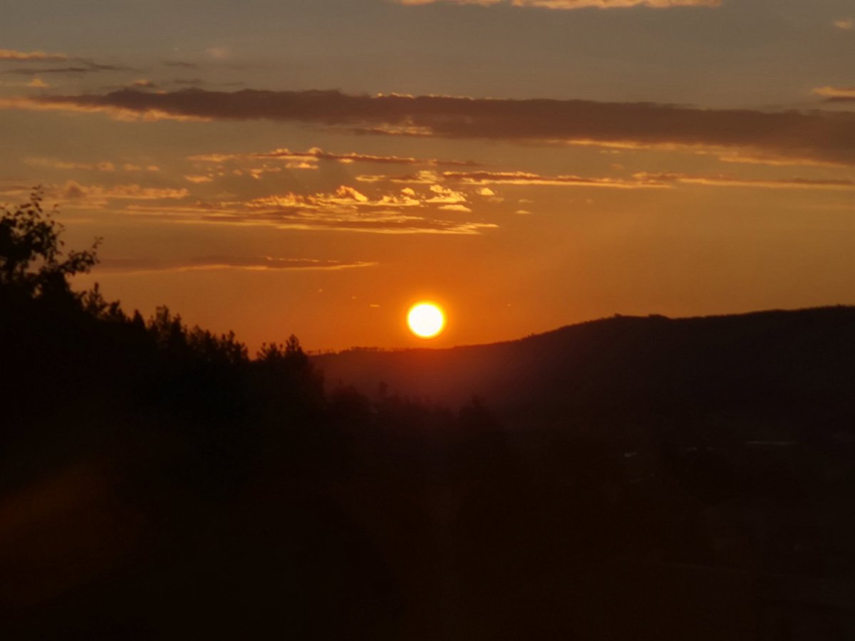 Throughout the woods.