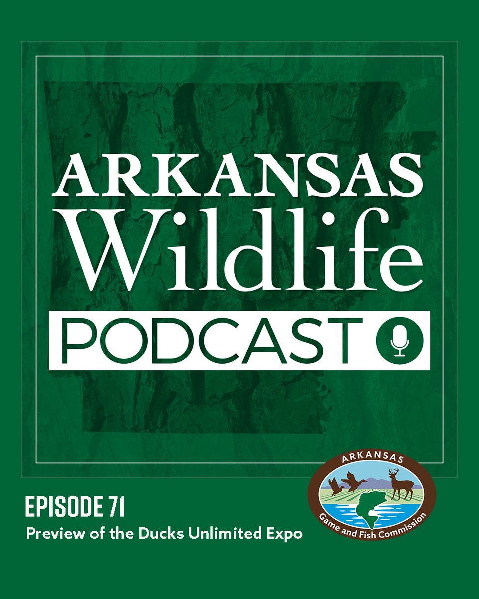 Arkansas Game and Fish Commission (@argameandfish) on Twitter photo 🎙️In this episode, host Trey Reid interviews Logan Nevins from Ducks Unlimited. Logan discusses the upcoming Ducks Unlimited Expo (DUX) scheduled from August 1st to 3rd in Memphis. 
🎧 bit.ly/45htrV7 🎙️In this episode, host Trey Reid interviews Logan Nevins from Ducks Unlimited. Logan discusses the upcoming Ducks Unlimited Expo (DUX) scheduled from August 1st to 3rd in Memphis. 
🎧 bit.ly/45htrV7