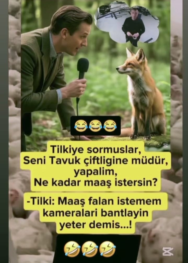 😂😂😂