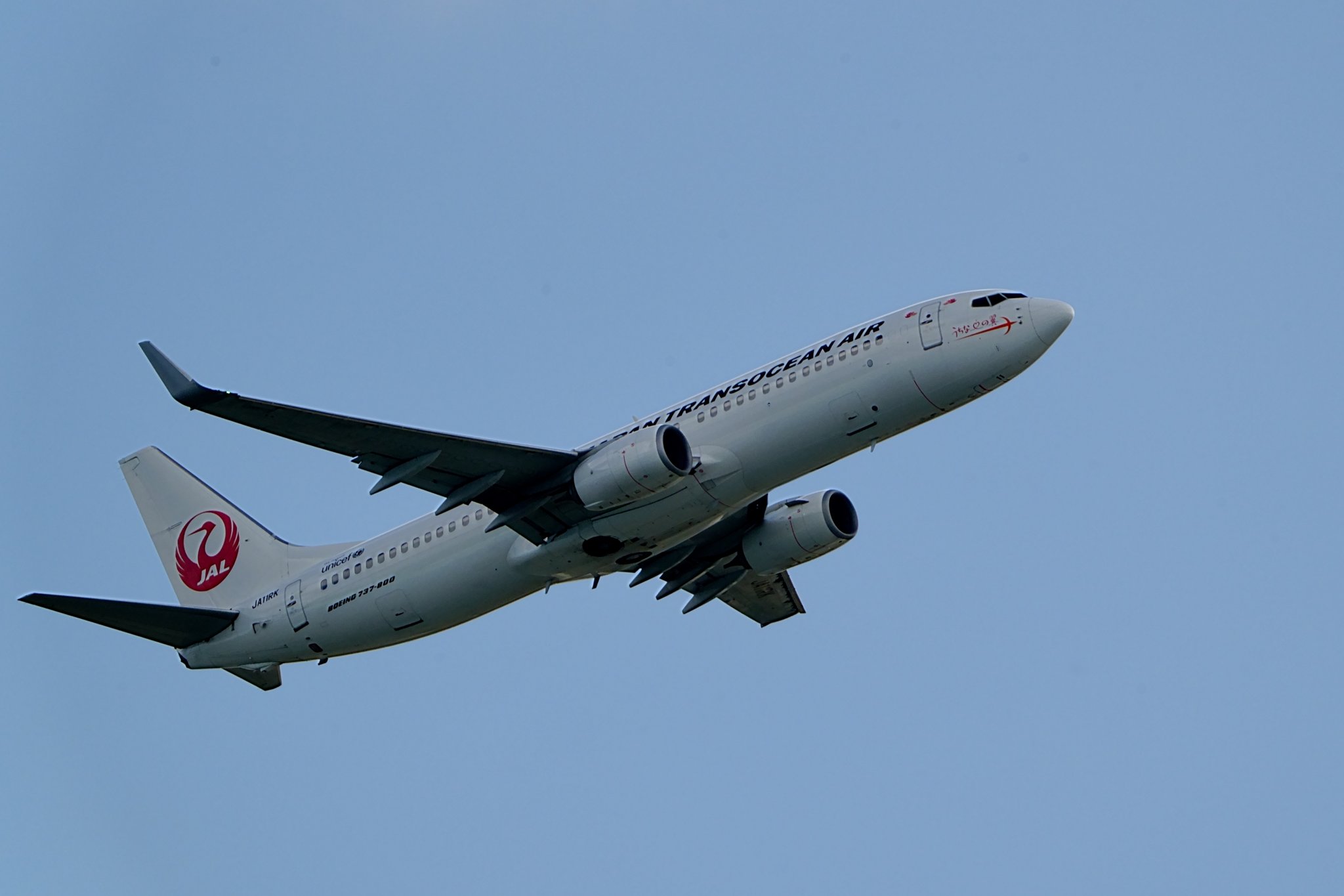 JCWings JTA B737-800 JA11RK 沖縄県 1/400 JCWings JTA B737-800 JA11RK 沖縄県 1/400 - メルカリ