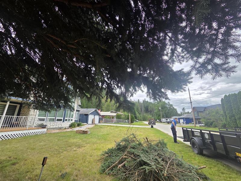 Did you know that Sicamous FireSmart offers curbside yard waste pickup?🌿

👉Collect your yard debris
👉Place it at the curb
 👉Email firesmart@sicamous.ca
✅The crew will come pick it up!

After the wind event there’s plenty of cleanup happening around town.
#Sicamous #FireSmart